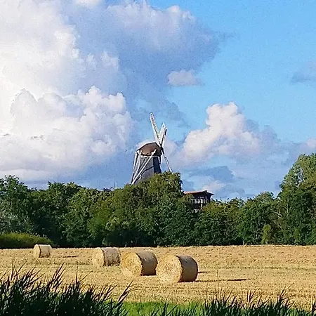 Haus Vivienne * Дорнум