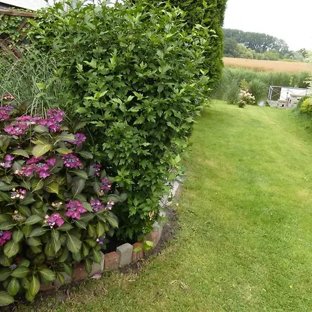 Hébergement de vacances Haus Vivienne Dornum