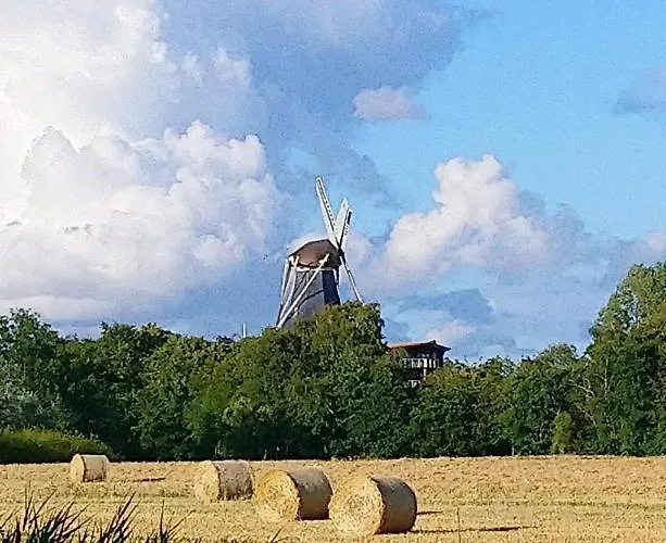 Haus Vivienne * 多努姆