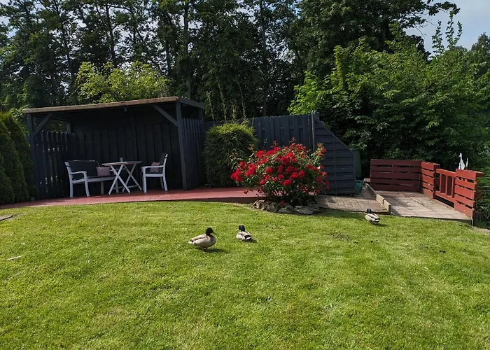 Haus Vivienne 多努姆